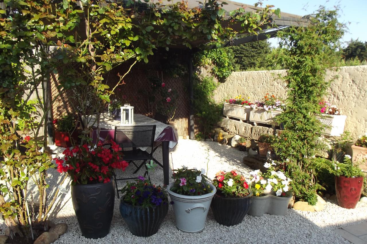 Mas De La Coucourde Bed and Breakfast Paluds de Noves Buitenkant foto