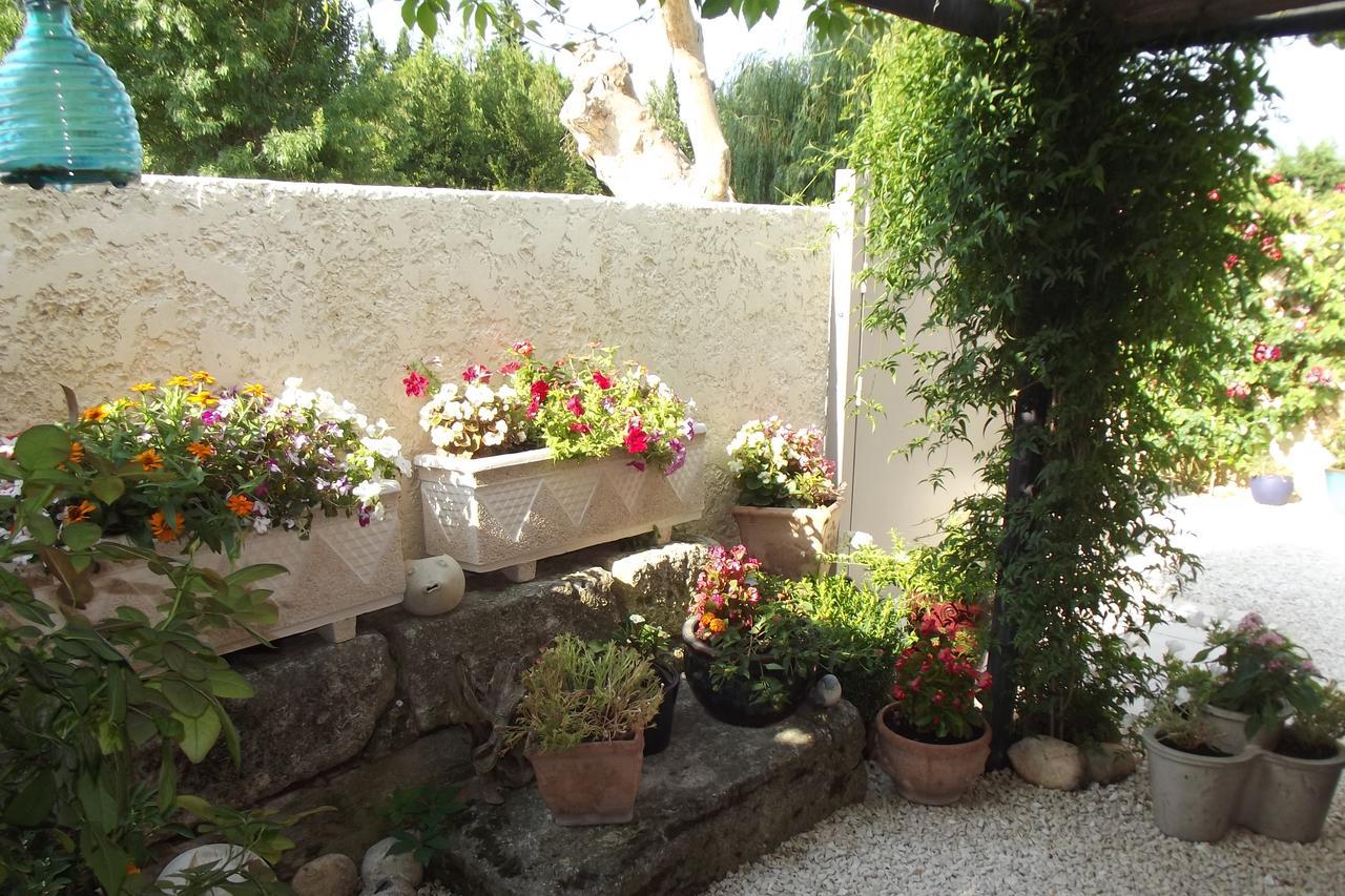 Mas De La Coucourde Bed and Breakfast Paluds de Noves Buitenkant foto