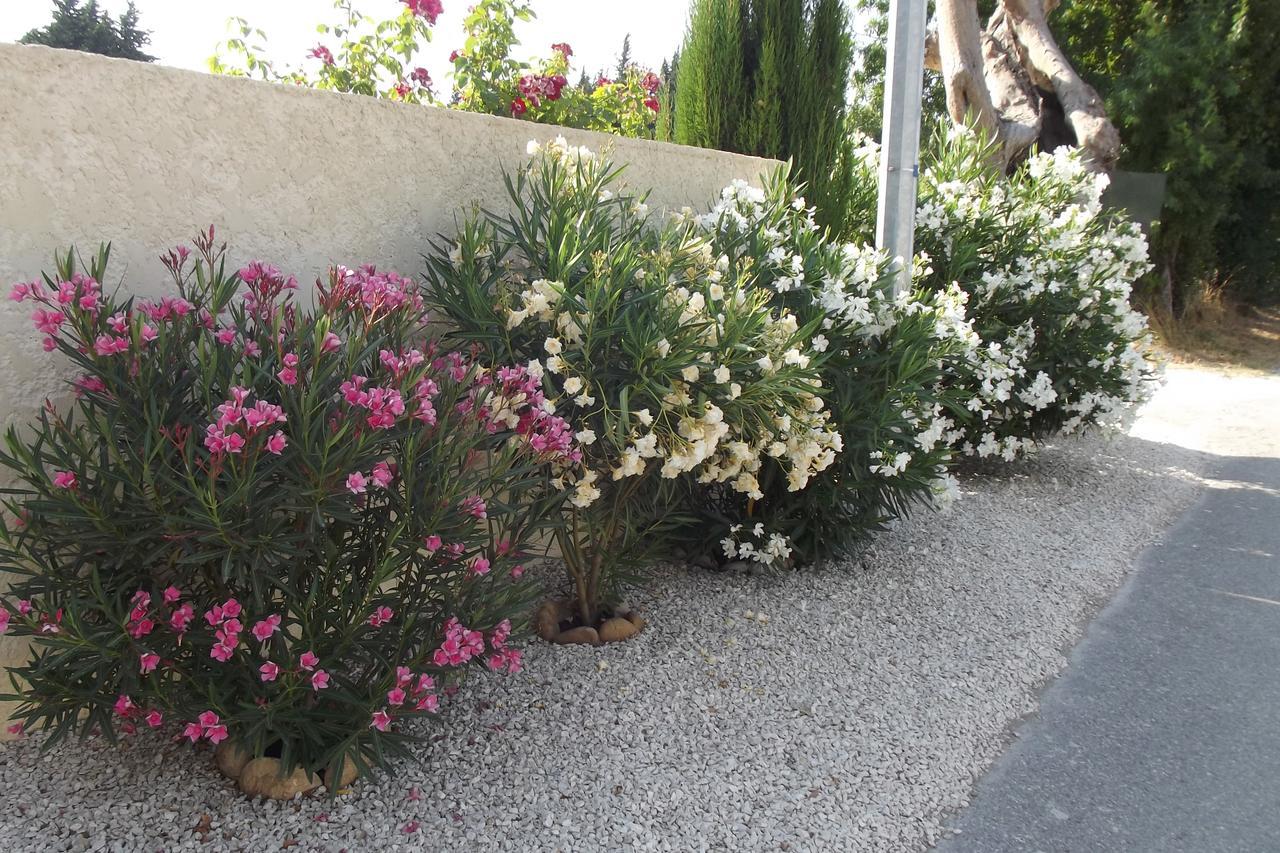 Mas De La Coucourde Bed and Breakfast Paluds de Noves Buitenkant foto