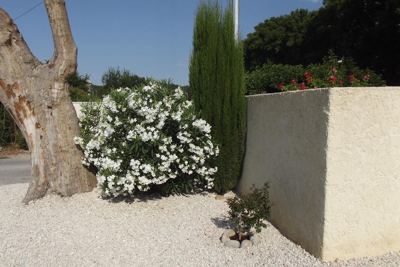 Mas De La Coucourde Bed and Breakfast Paluds de Noves Buitenkant foto